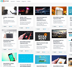 <span>CSS Author</span><i>→</i>